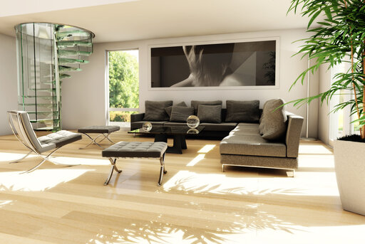 Sky-Screw - Don3RenderTreppeMaierGLAS PS